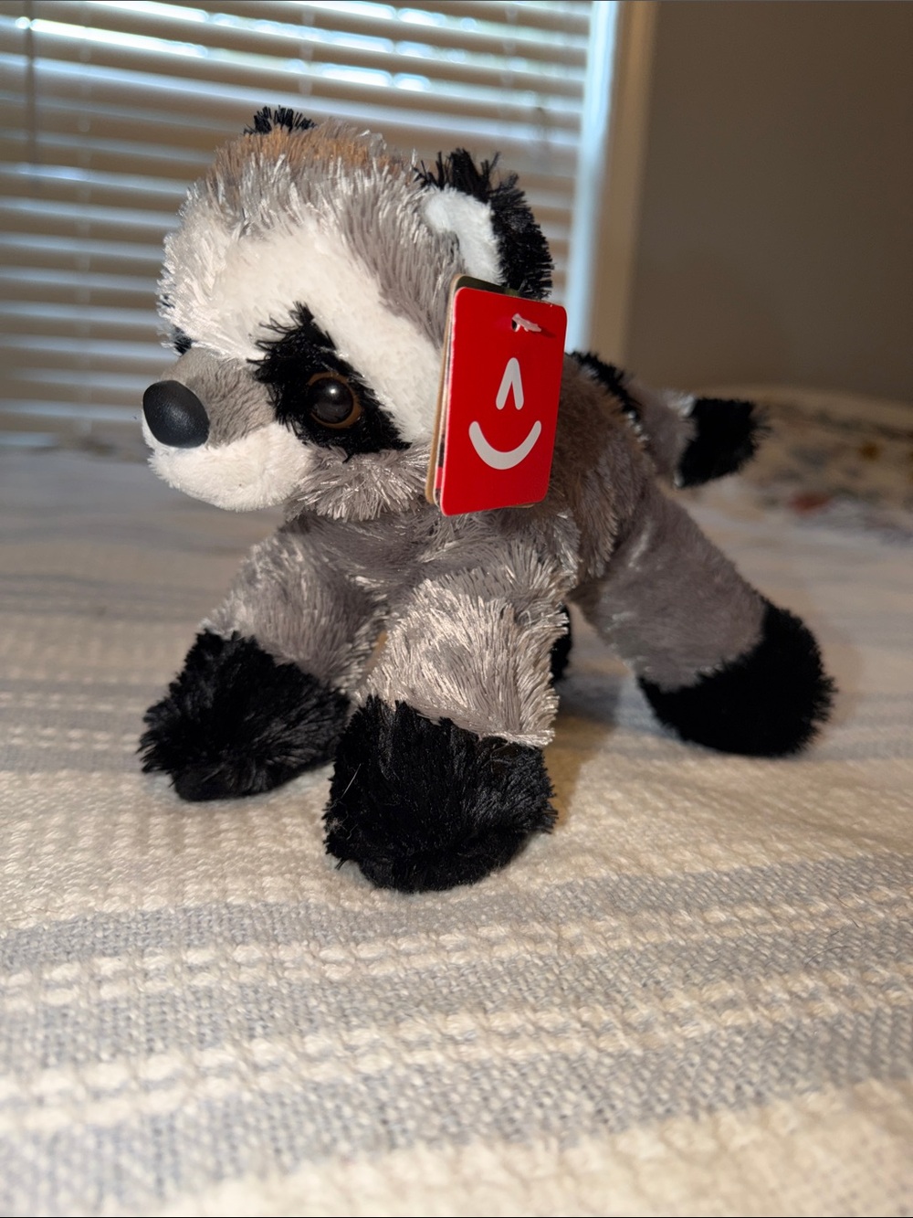 Adorable Gray and Black Plush Raccoon
